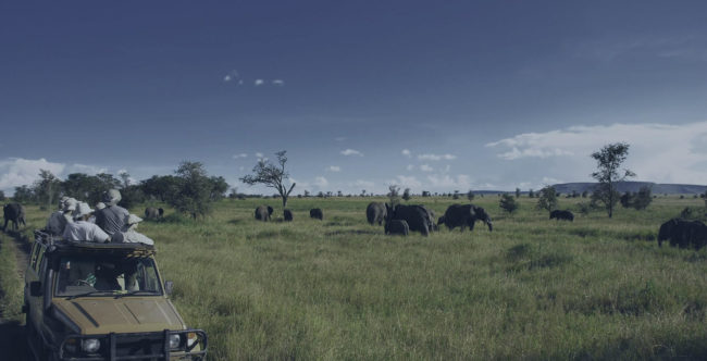 Visiting South Africa