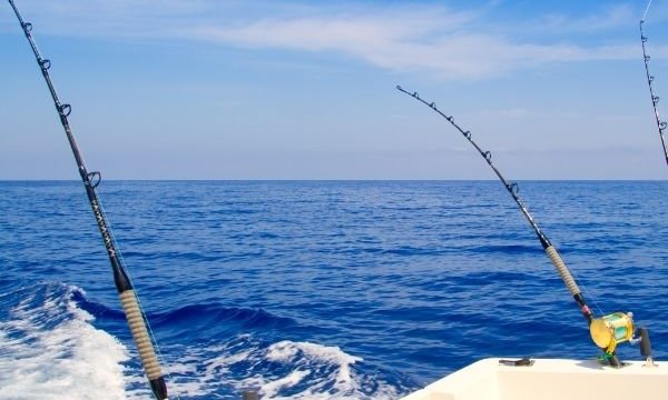 Ocean Reef Activities 1