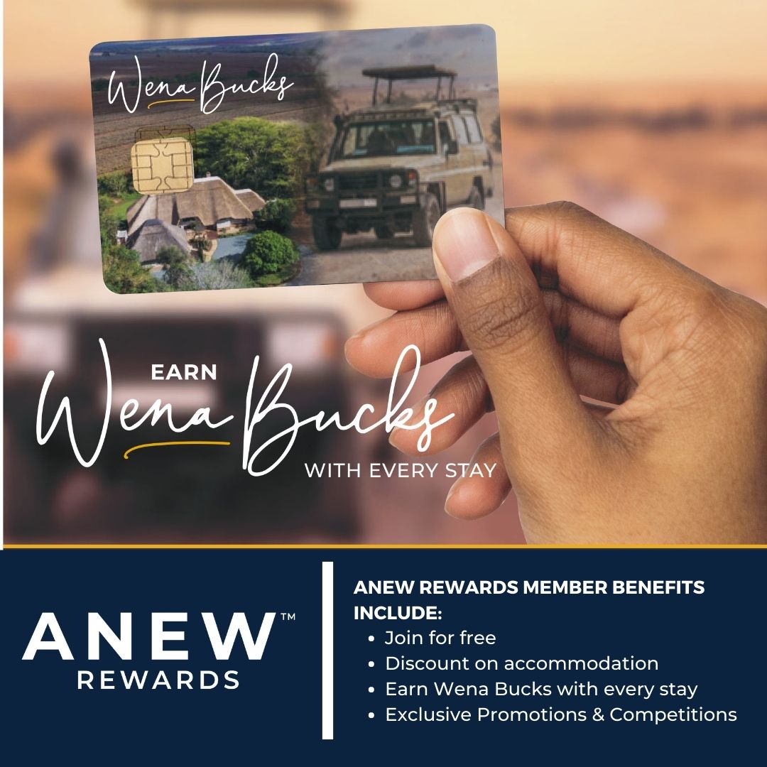 ANEW Rewards