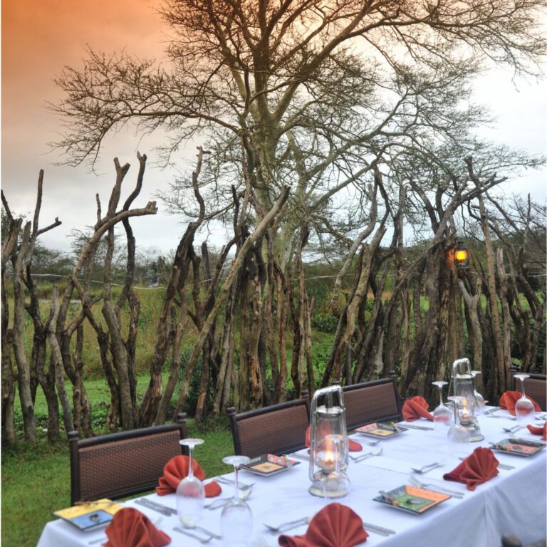 Planning an Elegant Wedding in Zululand (KZN) | Safari-Themed Wedding Decor Ideas to Share with Your Planner | Wedding venue in Zululand