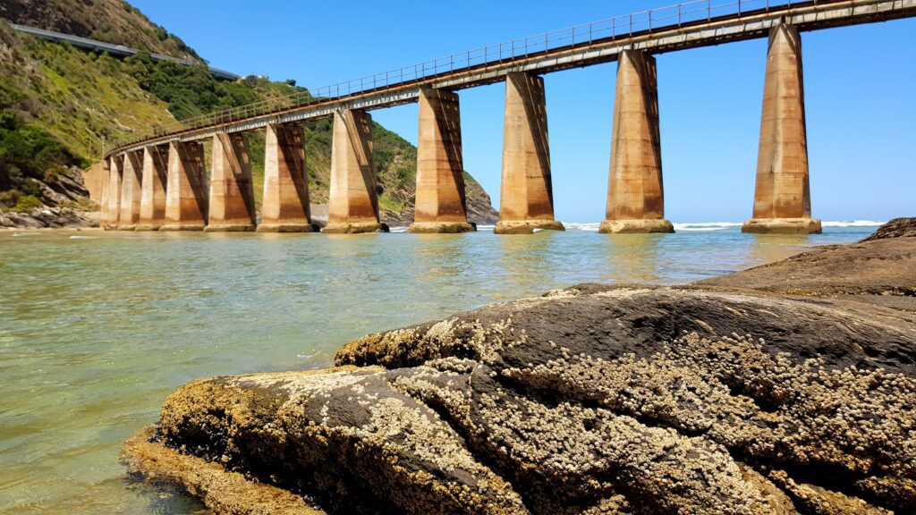 Wilderness Train Bridge