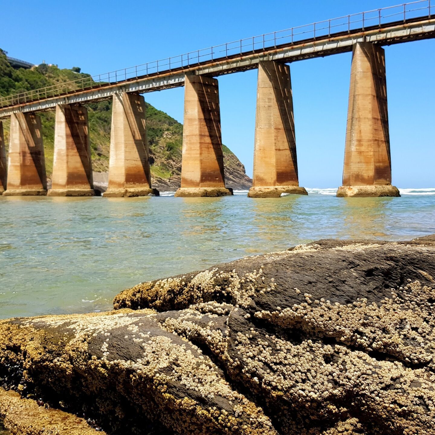 Wilderness Train Bridge