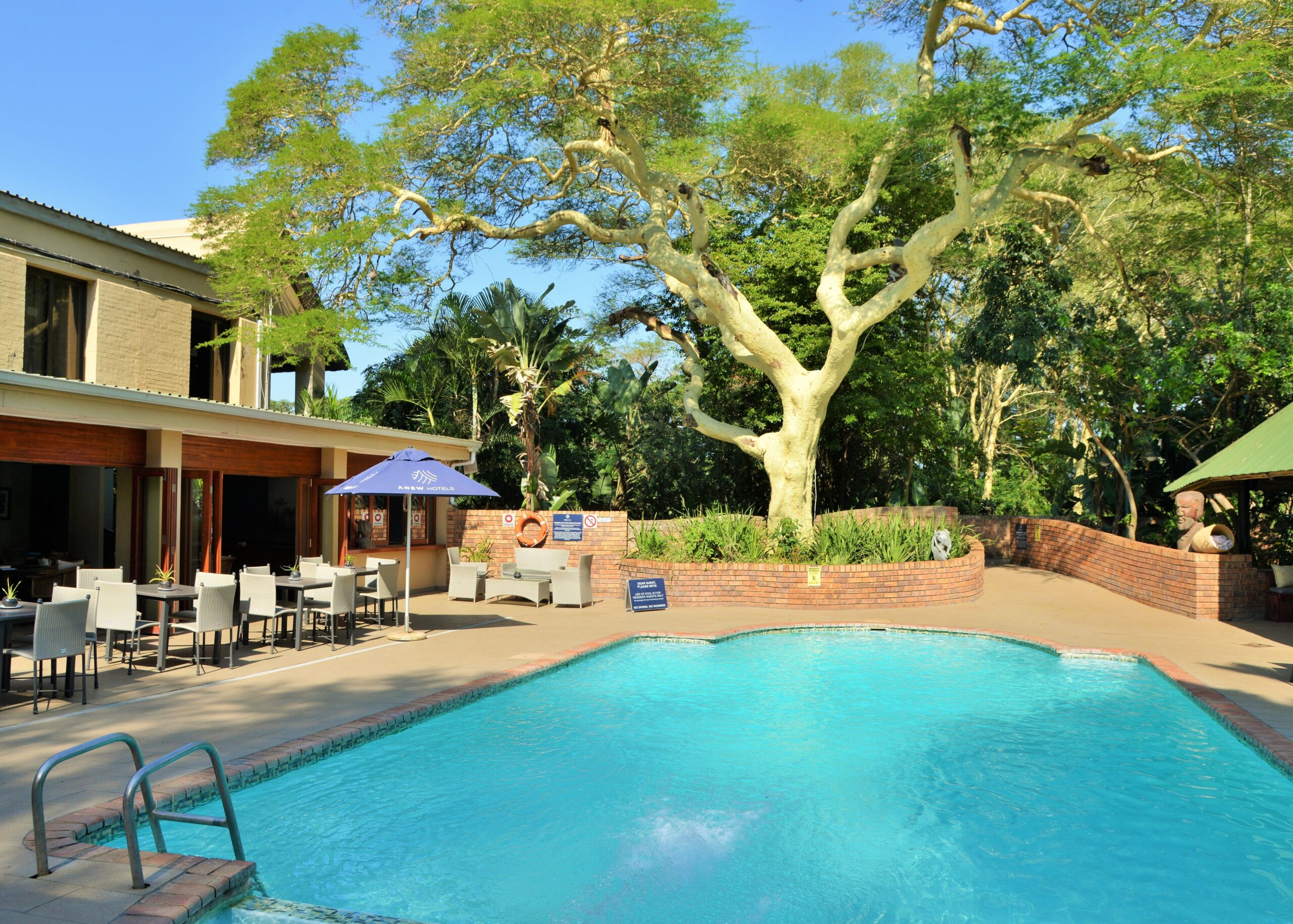swimming pool anew hotel hluhluwe