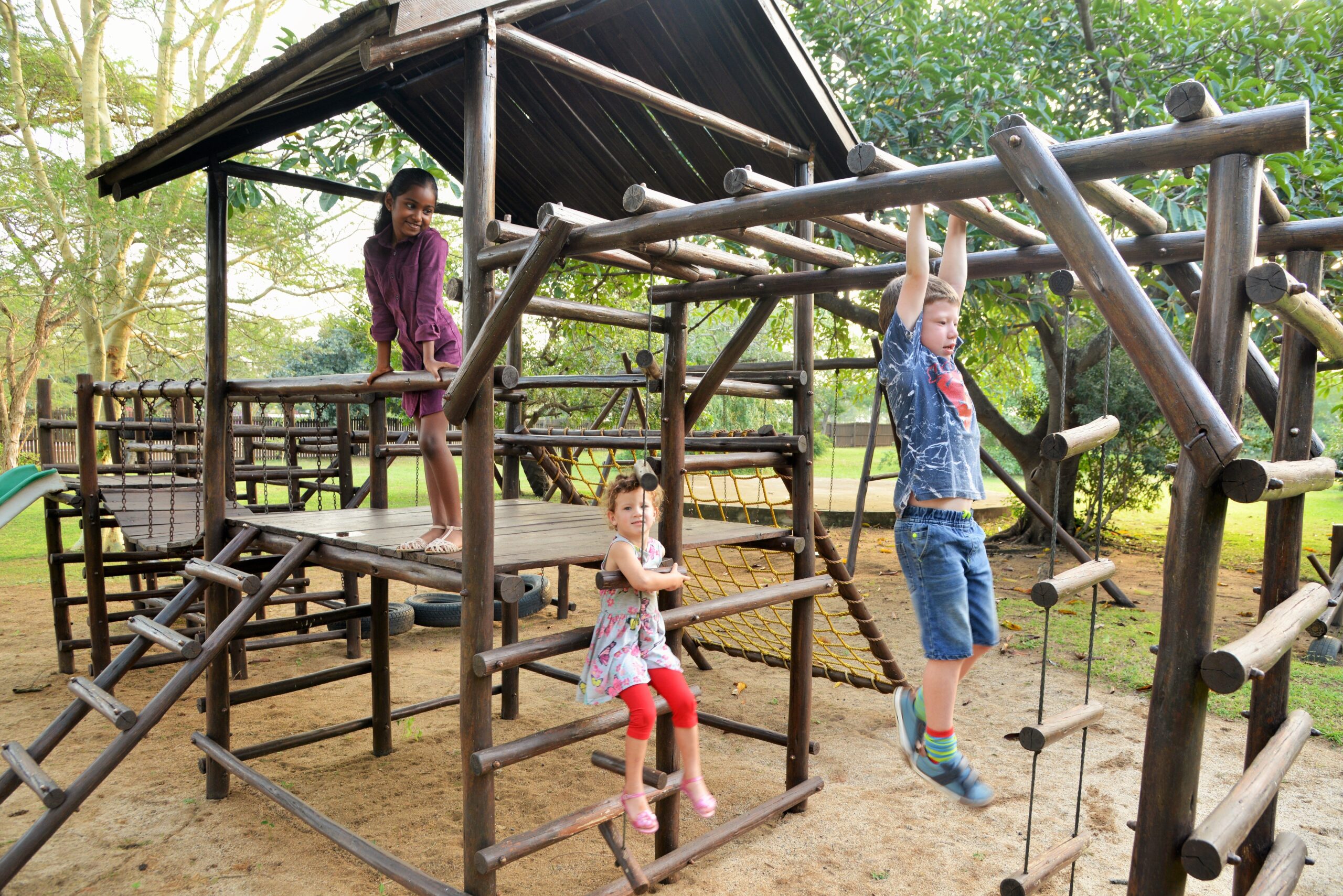 jungle gym