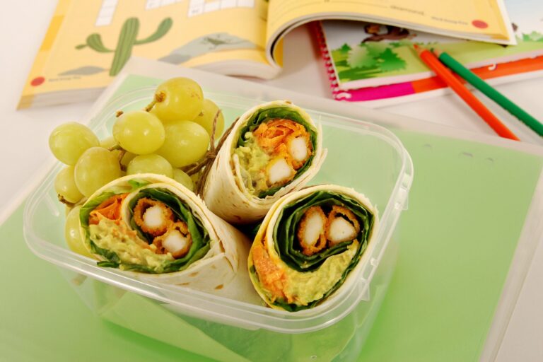School lunch series: chicken wrap sandwich