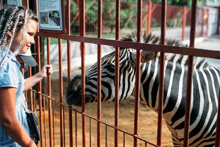 Hotels Near Pretoria Zoo