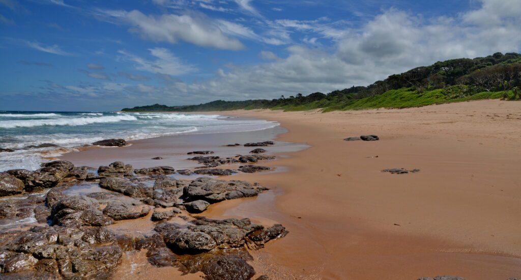 Ocean Reef March 2021 (29)