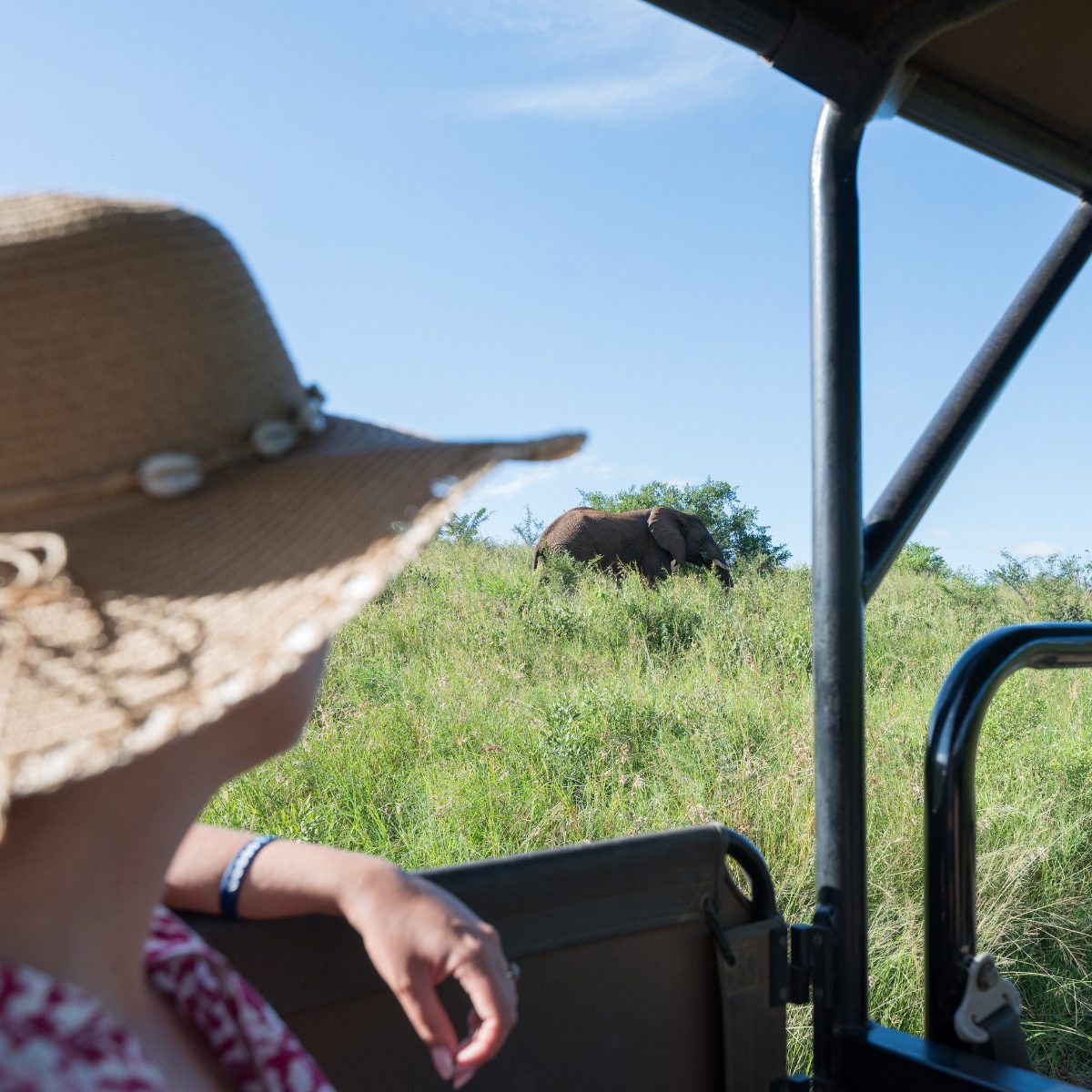 Stay & Safari Deal – ANEW Resort White River